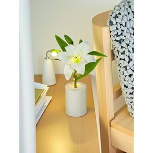 Zambak Gece Lambası Yaratıcı Dekorasyon Çiçek Yatak Odası Dekorasyon LED Çiçek Buketi 28 cm X 7,5 cm