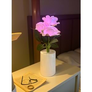 Güllü Dekoratif Led Işıklı Lamba 27 cm x 8 cm